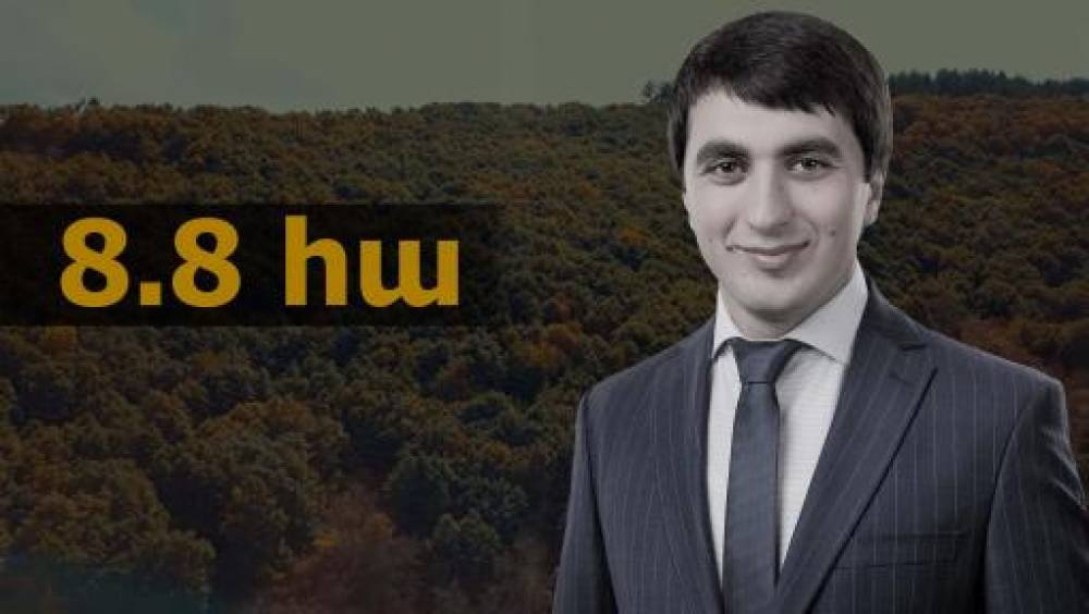 Սևակ Միքայելյանը տապալել է ապօրինի սեփականաշնորհված անտառների վերադարձի դատական գործերը