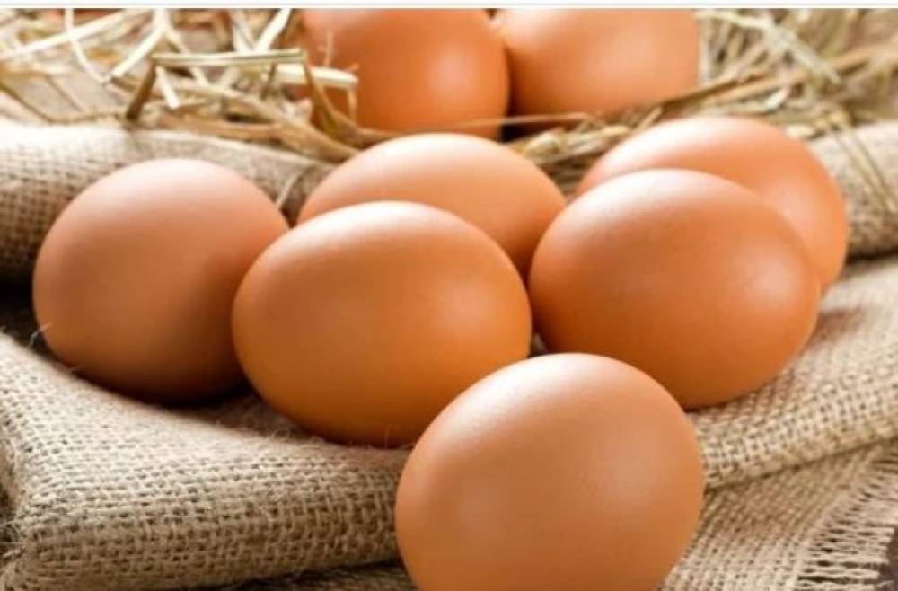 Ձուն կարող է լյարդը պաշտպանել ճարպակալումից եւ օգտակար է հիպերտոնիկների համար