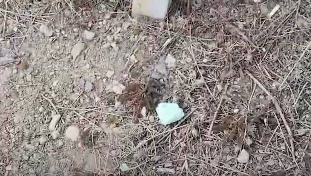 Վայոց ձորի մարզում ոստիկանները հայտնաբերել ու առգրավել են թմրամիջոցի 148 փաթեթից 138-ը