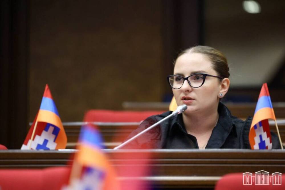 Փոխոստիկանապետերին ազատելու փոխարեն պետք է հանցավորության դեմ պայքարել․ Վարդանյան