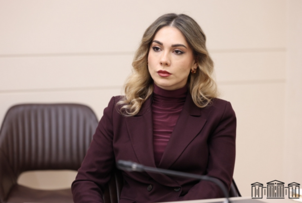 Տուգանվելու են համացանցում հայհոյանք, ատելության խոսք գրողները. նոր նախագիծ է մշակում