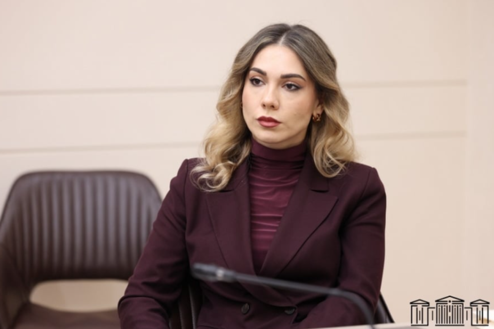 Թուրքիայի հետ հարաբերությունների լավացման համատեքստում ենք ընտրել սիրիացիներին փոխանցելու տարբերակը. Սրբուհի Գալյան