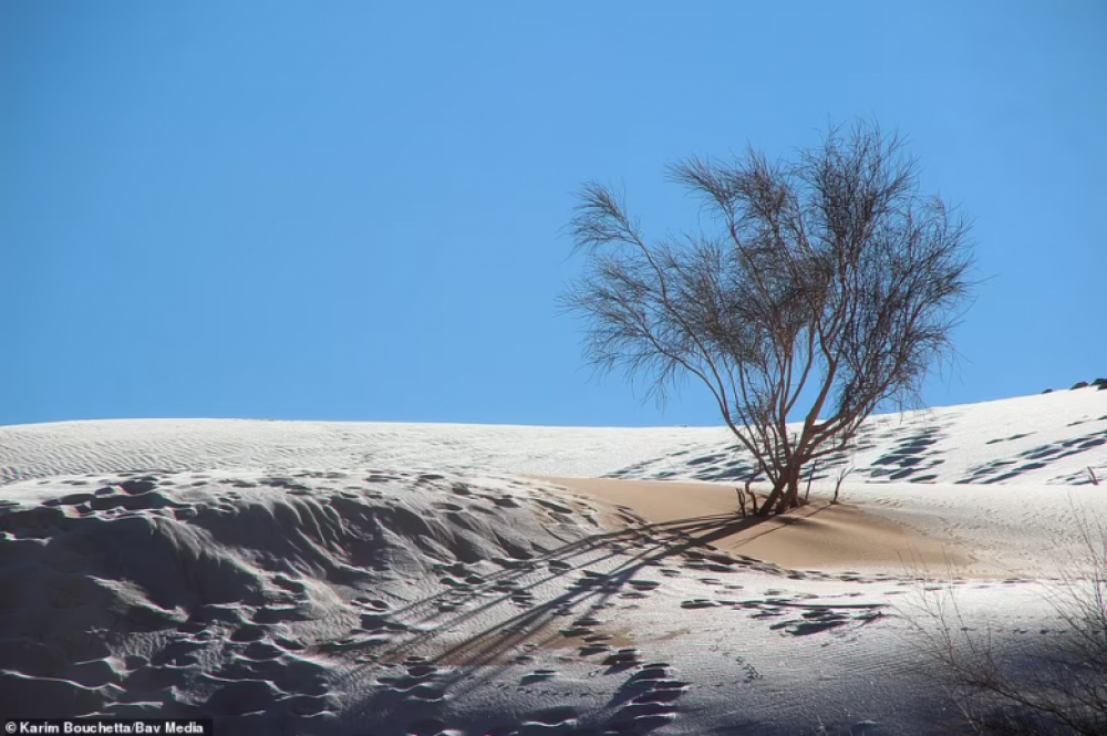 Սահարա անապատում ձյուն է տեղացել (լուսանկարներ, տեսանյութ)