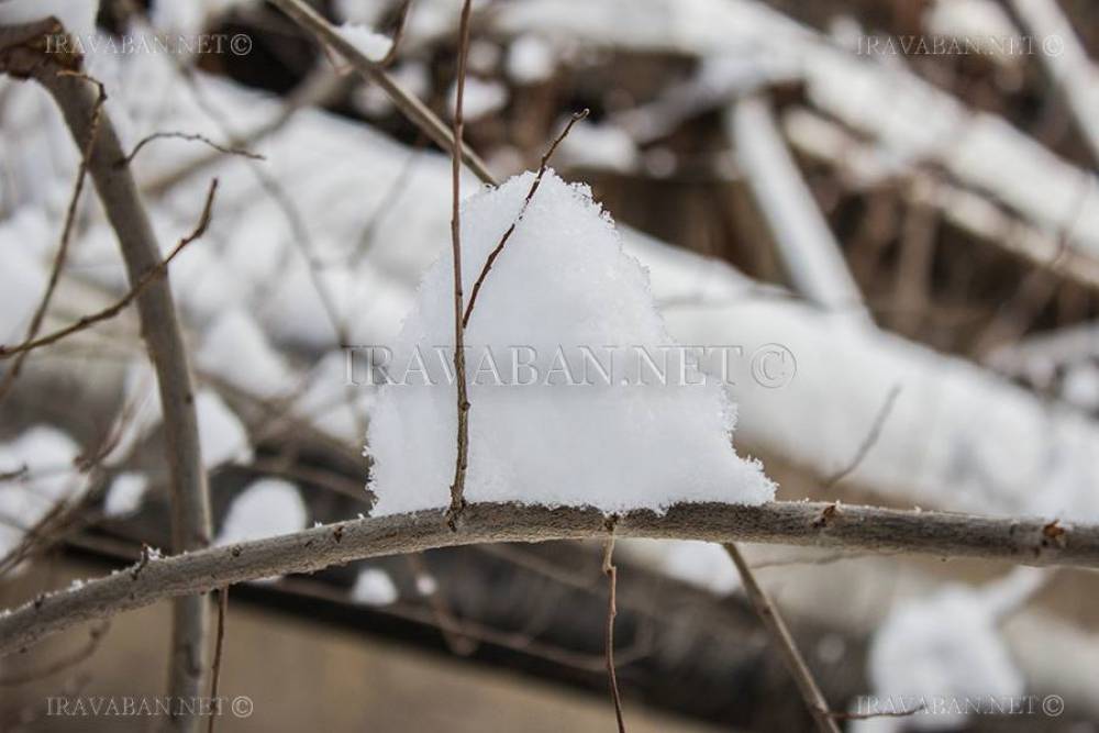 Օդի ջերմաստիճանը կնվազի․ Երևանում ևս ձյուն է սպասվում