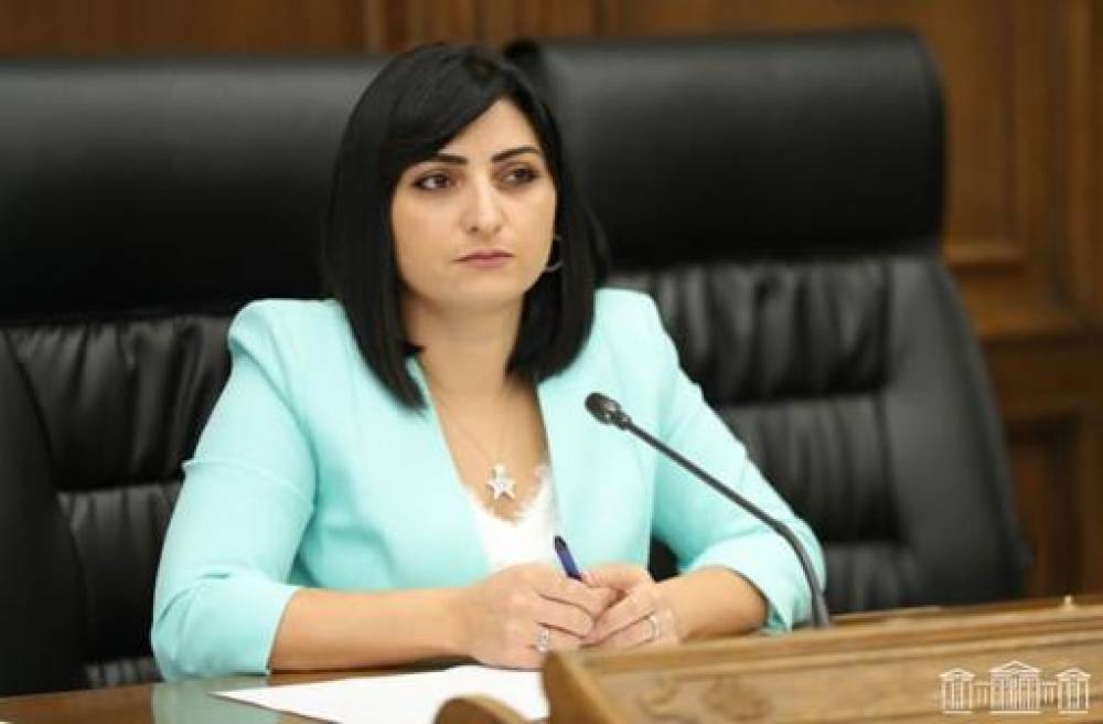 Վարչապետից պարզաբանում եմ պահանջել ազգությամբ հայերի մուտքը ՀՀ արգելելու անթույլատրելիության առումով