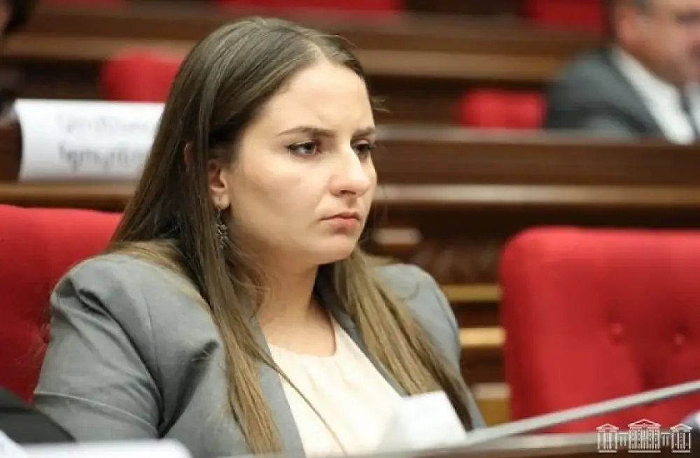 Շփոթել եք տեղը՝ սա ՔՊ-ի ժողով չի․Քրիստինե Վարդանյան