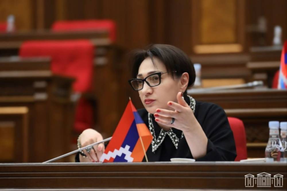 Ձերբակալություններ, ճնշումներ, հարձակումներ Եկեղեցու վրա․ Լիլիթ Գալստյանը ԵԱՀԿ ԽՎ-ին ներկայացրել է Հայաստանում քաղաքական բռնաճնշումների մասին զեկույցներ