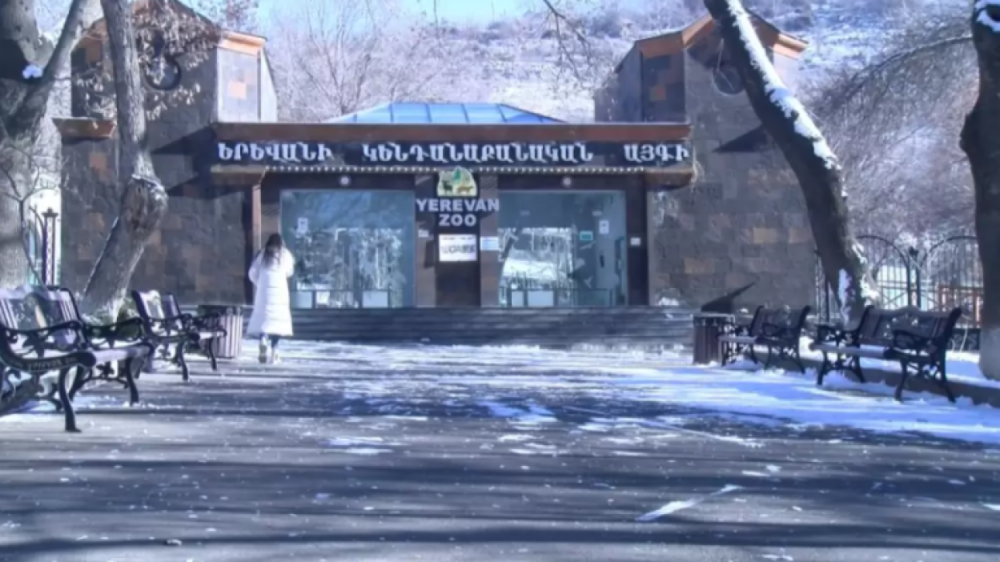 Կենդանաբանական այգուց հիվանդանոց է տեղափոխվել 24-ամյա տղա՝ պարանոցի հատվածում ստացած վնասվածքներով