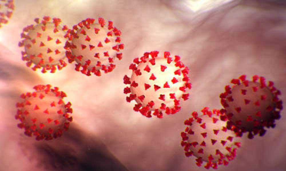 Գյումրու ինֆեկցիոն հիվանդանոցում կորոնավիրուսով 55 հիվանդ է բուժվում