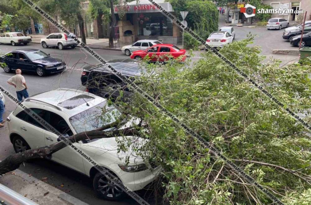 Հրապարակվել է օրեր առաջ Երևանում քամու հետևանքով ծառի՝ ավտոմեքենաների վրա ընկելու տեսանյութը