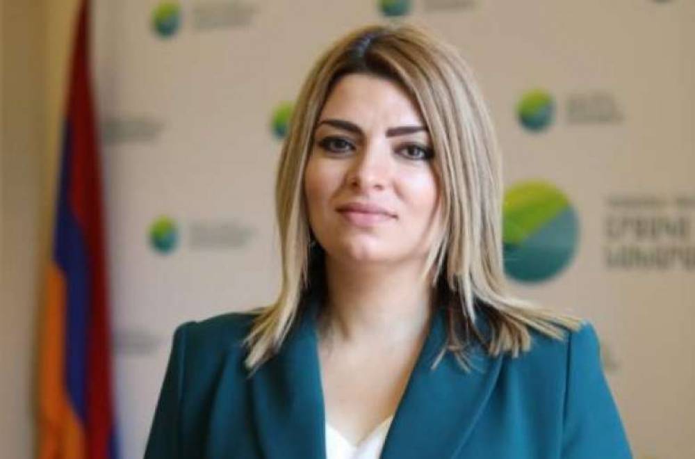 Տիկտոկեր, ՇՄ նախարարի նախկին տեղակալը դատի է տվել Նիկոլ Փաշինյանին՝ պահանջելով իրեն վերականգնել իր պաշտոնում