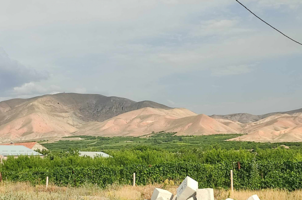 Ով դեմ է եղել Վեդիում գործարանի բացմանը, նրանց հատուկ թույլ չեն տվել, որ մասնակցեն լսումներին. Այգեզարդ գյուղի նախաձեռնող խմբի համակարգող