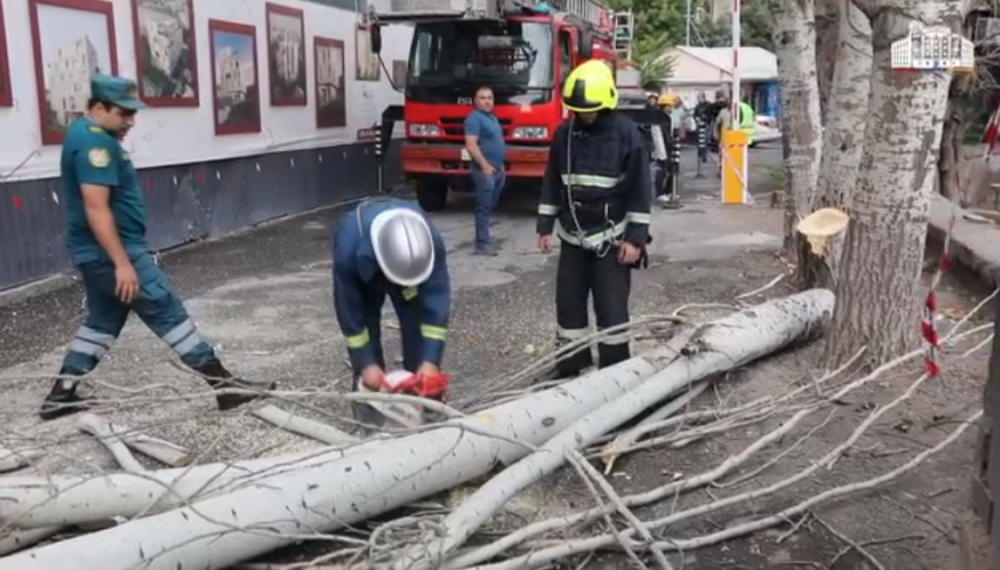 Ուժեղ քամին Երևանում ու մարզերում բազմաթիվ ծառեր է կոտրել, տանիքներ վնասել