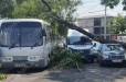 Արտակարգ դեպք Երևանում․ Իսակովի պողոտայում հաստաբուն ծառից ճյուղը կոտրվել և ընկել է կայանված «Ford Transit», «Mercedes» մեքենաների և«Hyundai» ավտոբուսի վրա