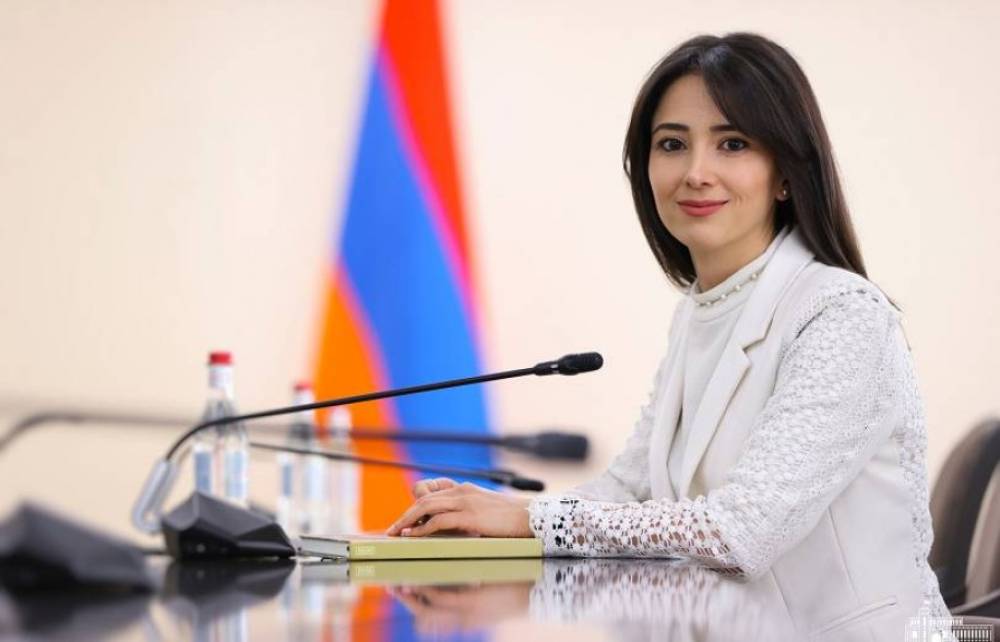 Նախարարի տեղակալը հստակ մերժել է երրորդ սուբյեկտի կողմից «վերահսկողության» եզրույթը. ԱԳՆ խոսնակ