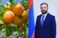 Հունիսի 1-ից հուլիսի 24-ը ՀՀ-ից ՌԴ է մտել ծիրանով բեռնված 2,240 բեռնատար. Պապոյան