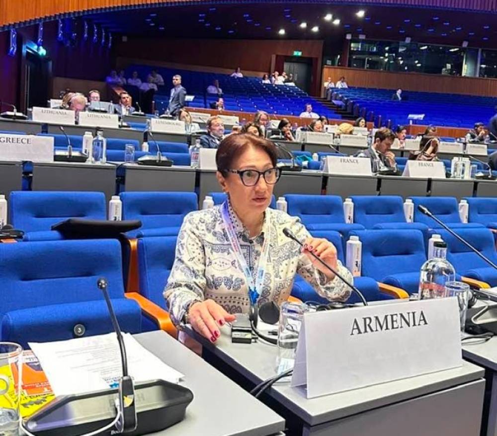 Միջազգային իրավունքը կորցնում է հեղինակությունը, երբ իրավախախտումները մնում են անպատիժ. Լիլիթ Գալստյան