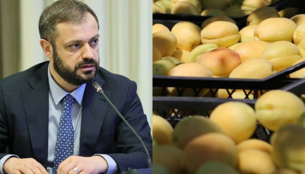Հայաստանից արտահանումը Եվրոպական միություն աճել է 80%-ով. Գևորգ Պապոյան