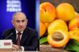 Մենք չենք կարող դույլով ծիրան տանել ԵՄ. Նիկոլ Փաշինյան