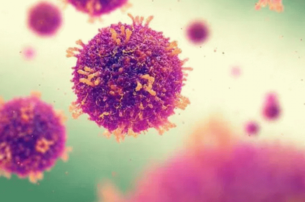 Աշխարհում #COVID_19-ից ապաքինվել է 3,5 միլիոն մարդ