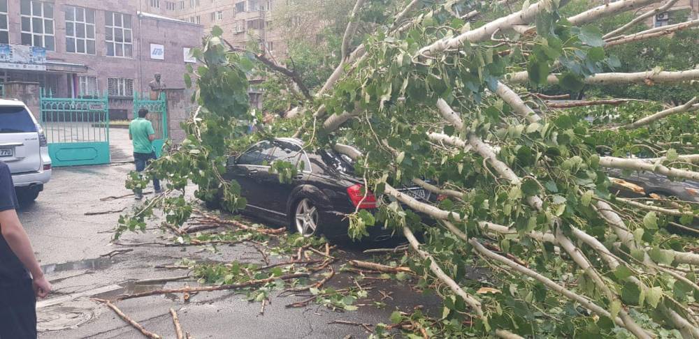 (PHOTOS) Երեկվա քամին տապալել է Նար-Դոսի դպրոցի մոտակայքի ծառը, վնասել կայանած մեքենան