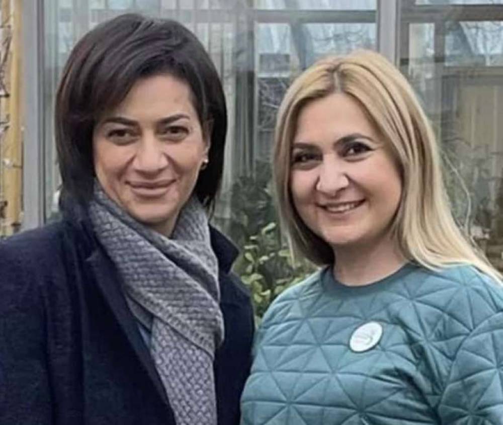 Աննա Հակոբյանը նոր օգնական ունի