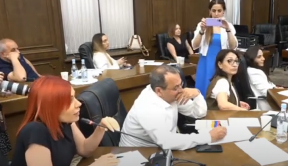 «Ոստիկանները ոհմակով…», «Կանջատեմ խոսափողը». ՔՊ-ին դուր չեկավ Ագնեսա Խամոյանի ձևակերպումը