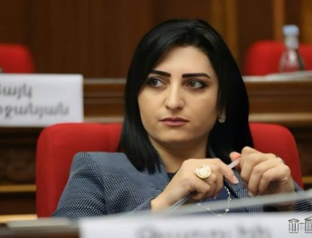 Գրություն եմ ուղարկել միջազգային գործընկերներին` հունիսի 12-ին գրանցված իրավունքների խախտման փաստով