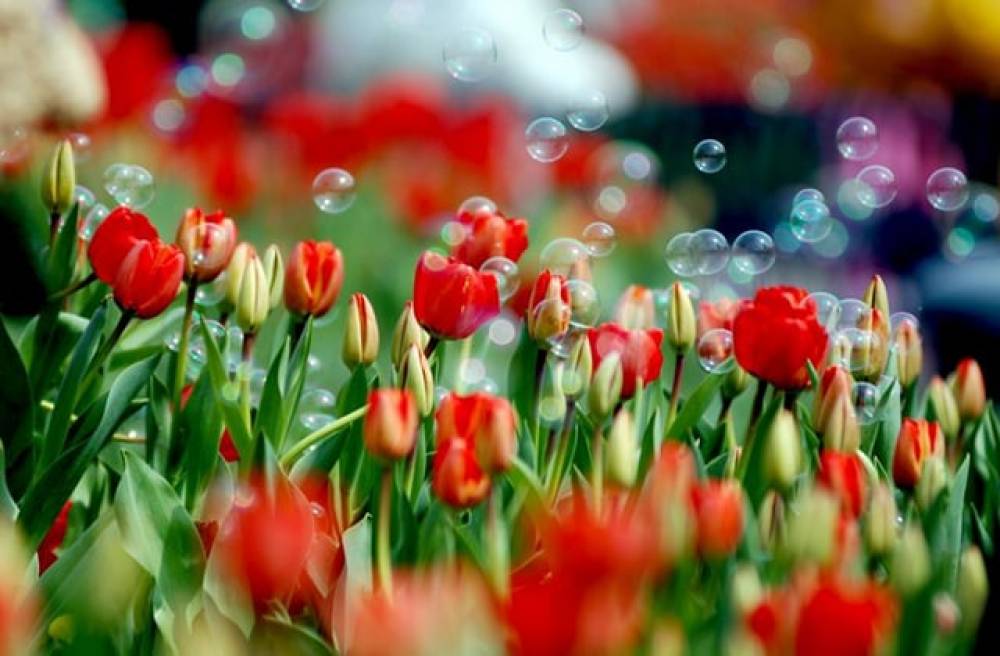 Օդի ջերմաստիճանը աստիճանաբար կբարձրանա ևս 2-4 աստիճանով