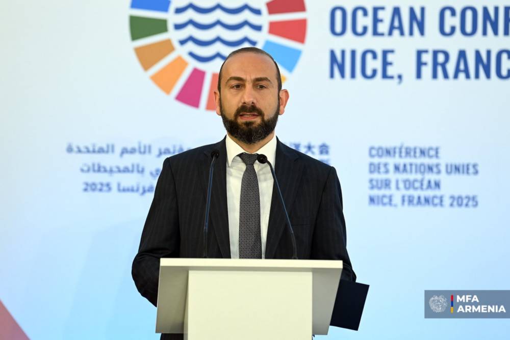 Հայաստանում կայանալիք COP17-ը կդառնա կարևոր հանգրվան. Արարատ Միրզոյան