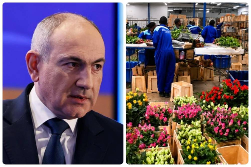 Ըստ Փաշինյանի՝ Հայաստանի ծաղիկ արտադրողները Նիդերլանդներում «ծաղկային դրախտ» կընկնեն