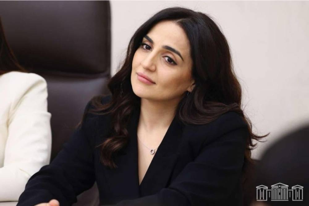 183 օր ՀՀ-ից բացակայելու դեպքում ընտրելու իրավունքից քաղաքացին զրկվելու է. Ալխաս Ղազարյան