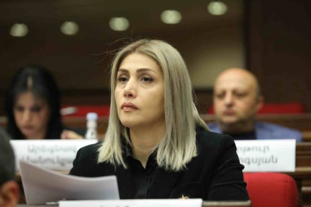 Մենք դատարանից ակնկալում ենք Սահմանադրության վերականգնում. Էլինար Վարդանյան