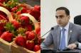 Ելակն արտահանում են թուրքականի անվան տակ. «Հրապարակ»