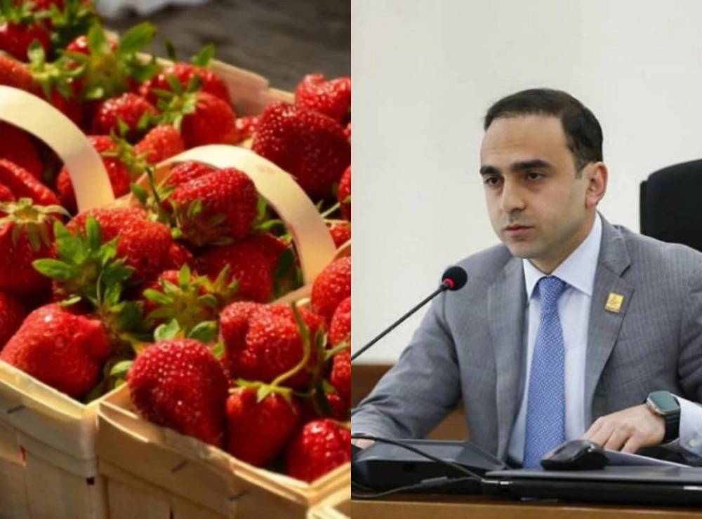 Ելակն արտահանում են թուրքականի անվան տակ. «Հրապարակ»