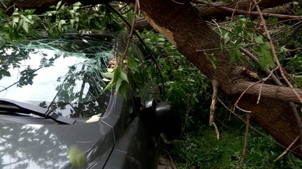 Քամու հետևանքով վնասվել է 5 ավտոմեքենա, 67 տանիք….