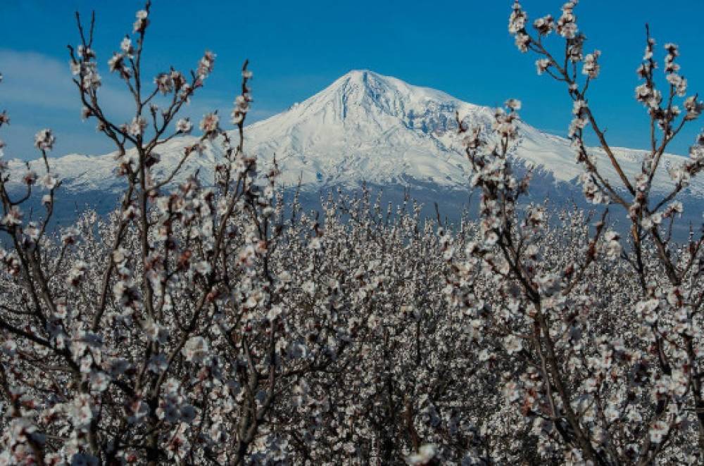 Մեկ շաբաթից՝ Արարատյան դաշտում և Երևանում․ Գագիկ Սուրենյան