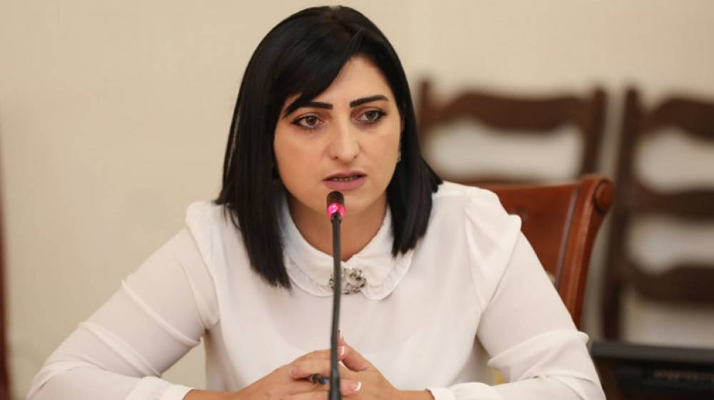 Թովմասյան. Կանադայի դեսպանին ականատեսի աչքերով ներկայացրի Գեղարքունիքի անվտանգային խնդիրները