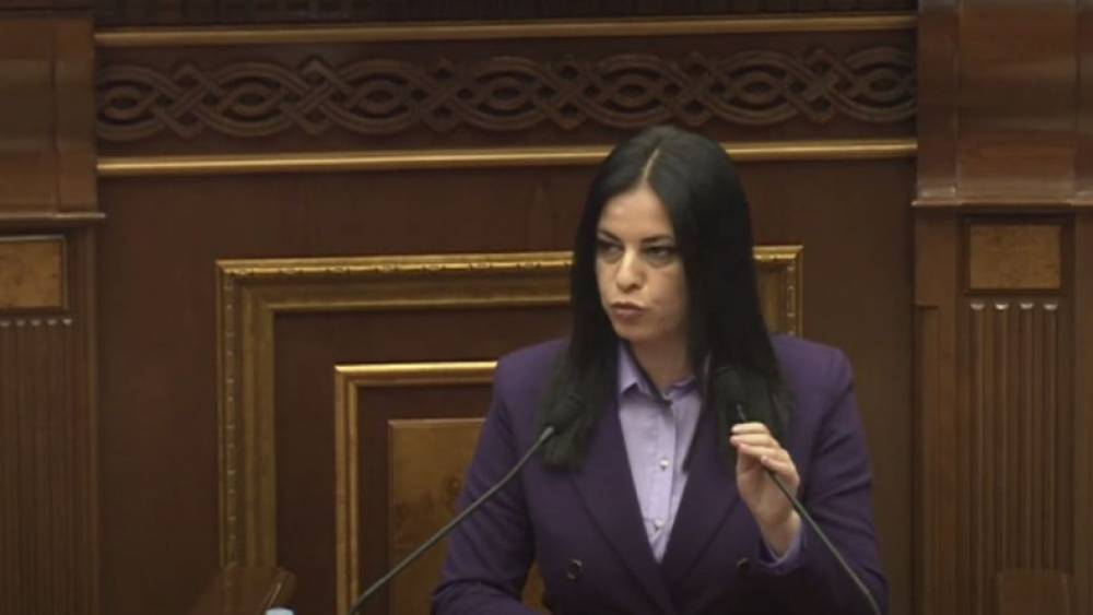 Փաշինյանի արևմտամետությունն իրականում թուրքամետություն է. Արեգնազ Մանուկյան