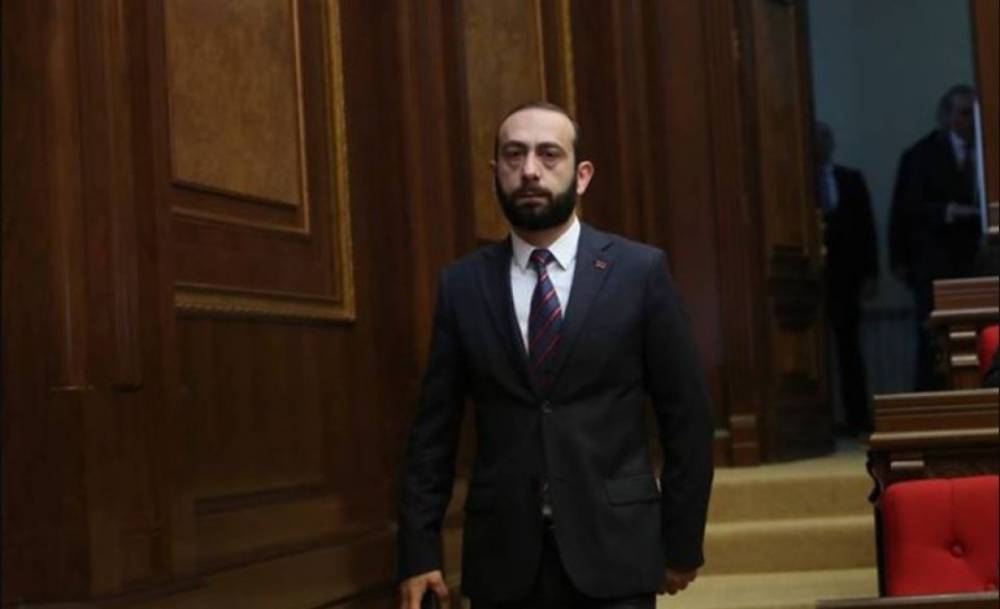 «Ով ում ուզում է, թող ծաղիկ նվիրի, մեզ չի հետաքրքրում». Միրզոյանը պնդում է՝ Բելառուսում ձերբակալված հայ բլոգերի հարցով, որին ՀՀ վերադարձրեց Գագիկ Ծառուկյանը, իրենք զբաղվել են