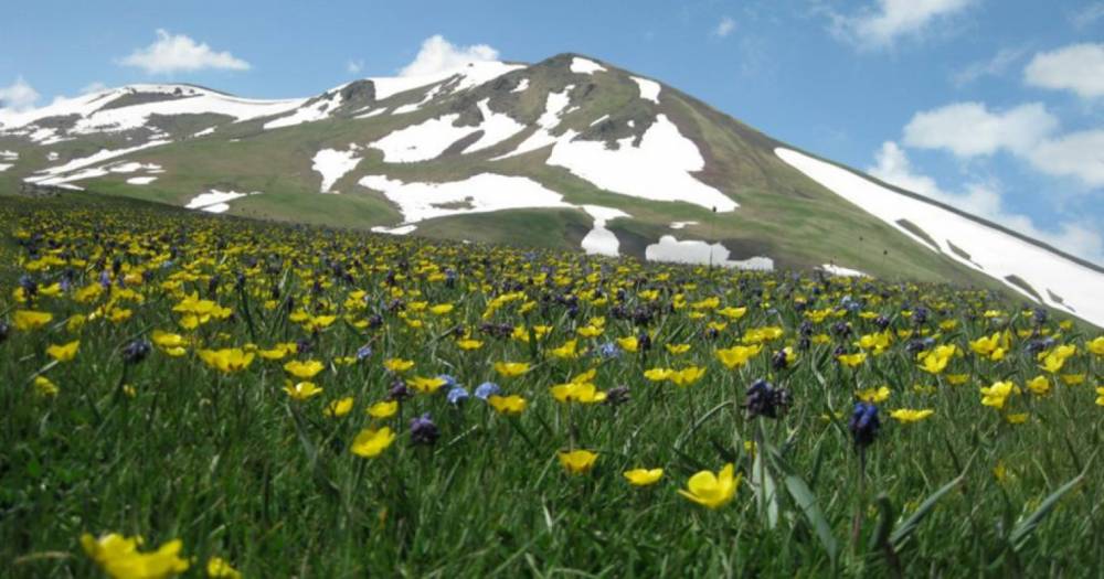 Առաջիկա օրերին օդի ջերմաստիճանը կբարձրանա՝ հասնելով մինչև +20 աստիճանի