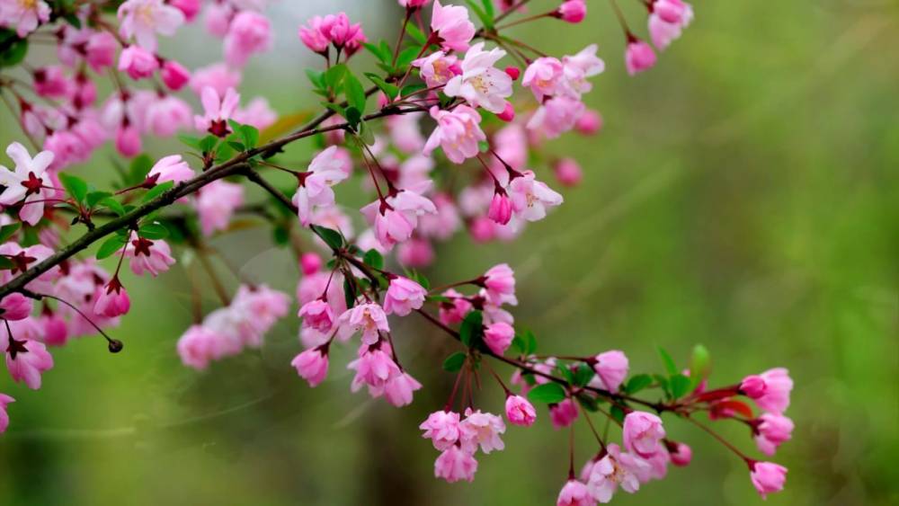 Հայաստանում սպասվում է առանց տեղումների եղանակ