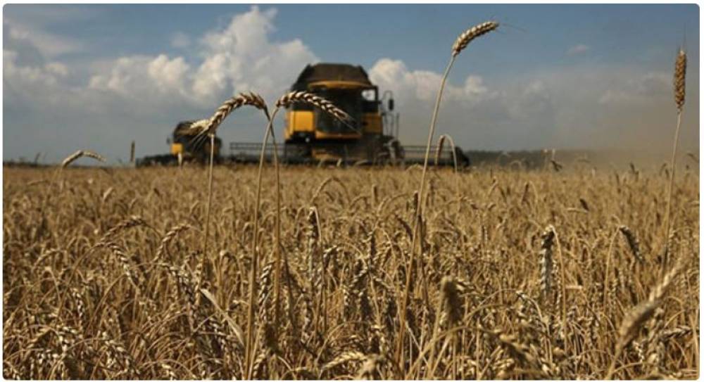 Կրճատվող արտադրություն և աճող ներմուծում․ գյուղատնտեսական ոլորտի կառուցվածքային նահանջը Հայաստանում