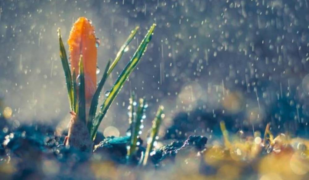 Այսօր գարնանային գիշերահավասարի օրն է. Սուրենյան (Տեսանյութ)