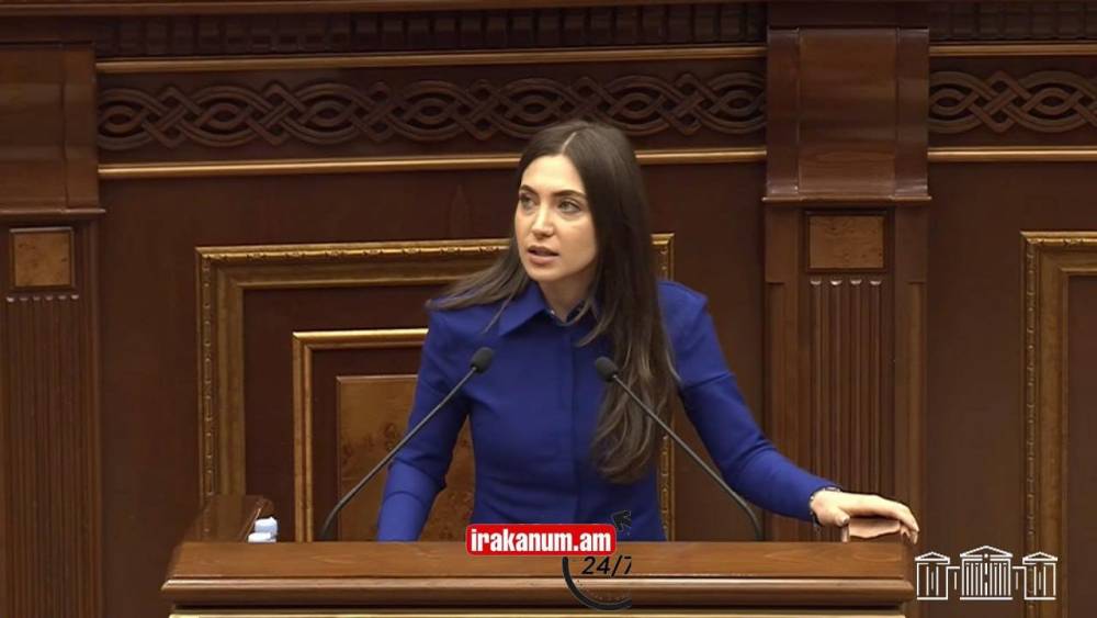 Մի ավտոբուս անհայրենիքներ. Աննա Մկտչյանի կոշտ ելույթը