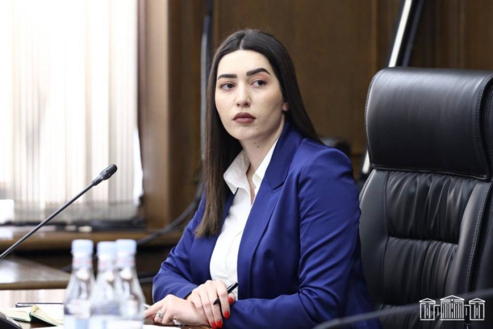 1.2 տարեկան երեխայի նկատմամբ բռնությունը խորթ մոր կողմից ոչ թե պատահականության արդյունք է, այլ դիտավորյալ արարք. ՆԳ նախարար