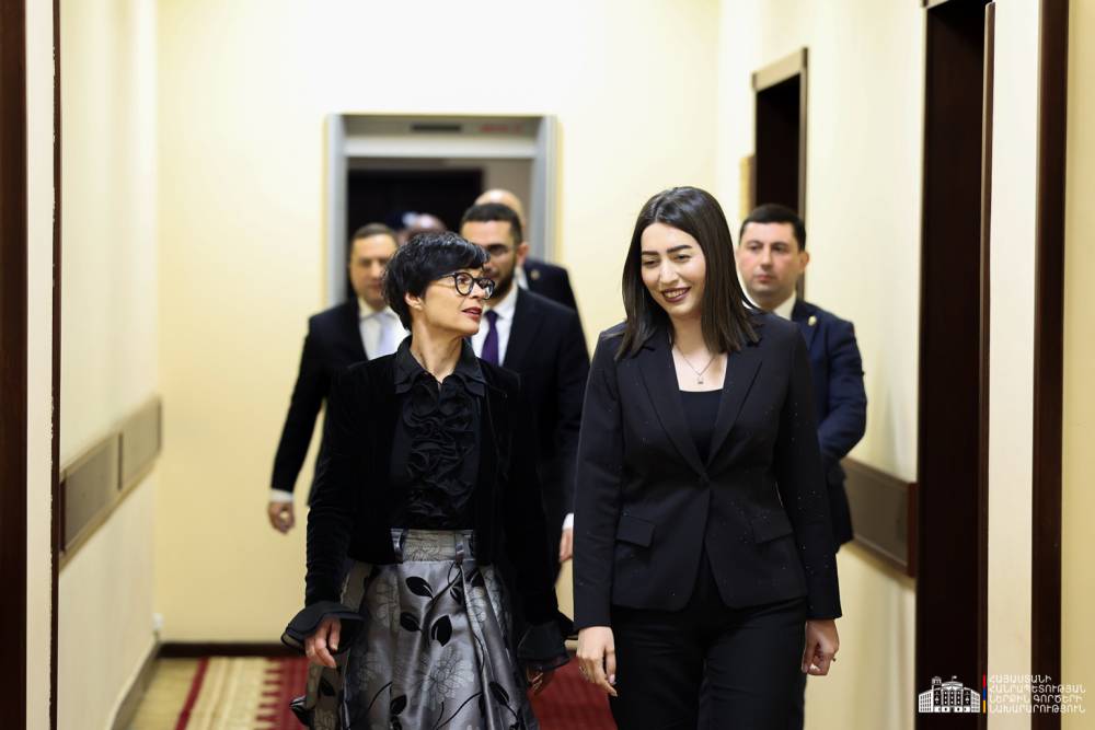 ԵՄ հանձնակատարը գերազանց է գնահատել ԵՄ վիզաների ազատականացման ուղղությամբ ՆԳ նախարարության կատարած աշխատանքը․ ՆԳՆ