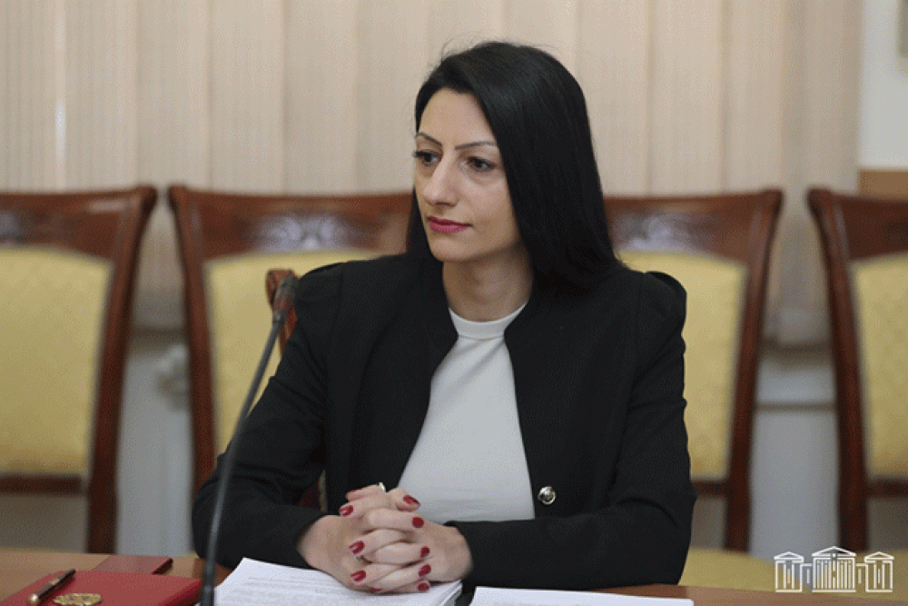 Ազգային փոքրամասնությունների իրավունքների պաշտպանությունը իմ աշխատանքի առաջնային ուղղություններից է