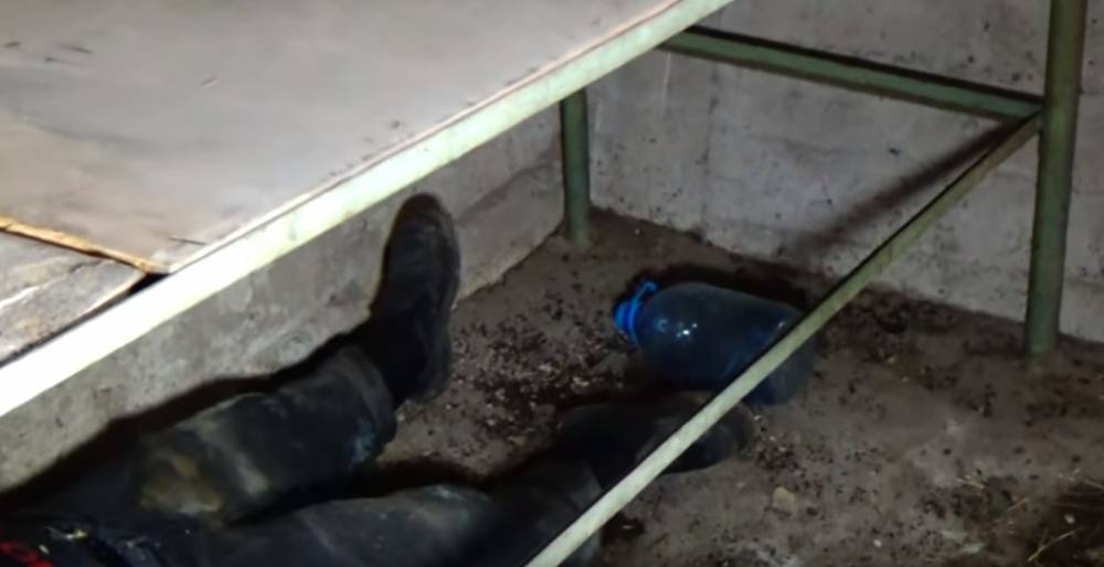 Սպանության դեպք է բացահայտվել. մի հոգի ձերբակալվել է (տեսանյութ)