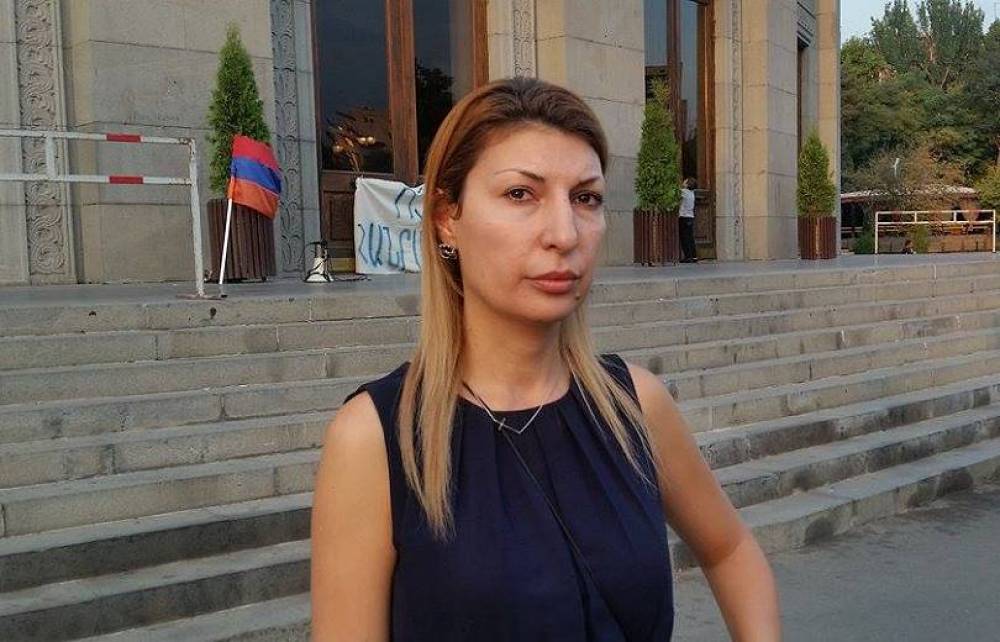 «Ես միանշանակ ավելի լավ վարչապետ կլինեի, քան Նիկոլ Փաշինյանը». Անի Զախարյան, Երկրի հարցը